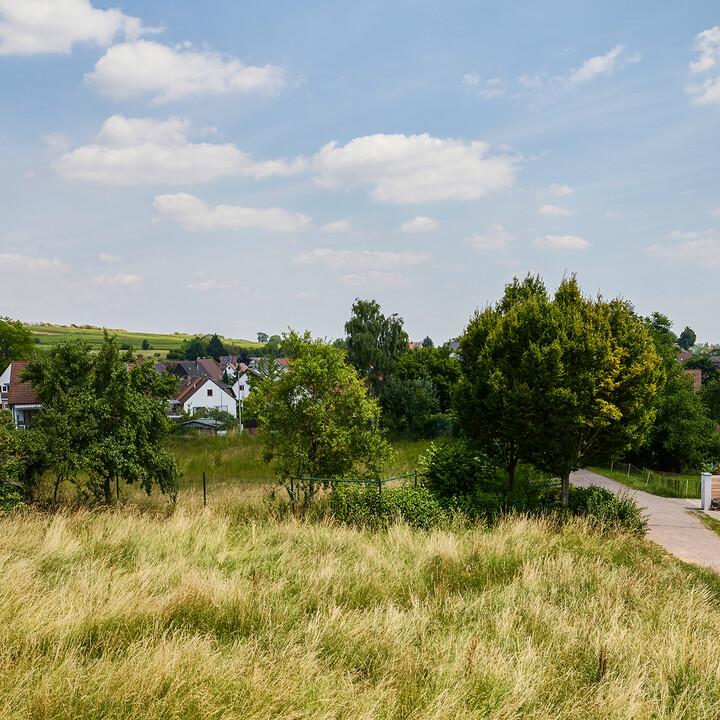 Ausblick Ost.jpg | © Maison Südpfalz