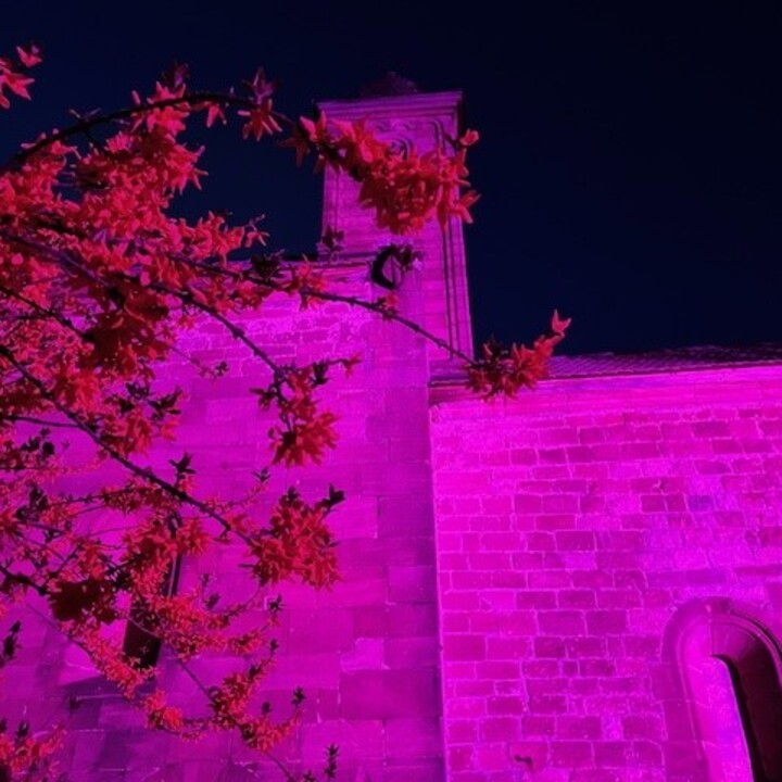 Nikolauskapelle rosa.jpg | © Maison Südpfalz