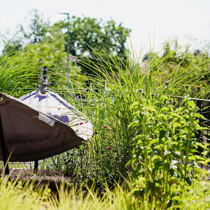 Hängematte.JPG | © Maison Südpfalz