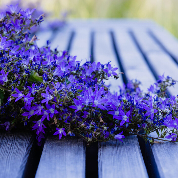 Gartenbank.jpg | © Maison Südpfalz