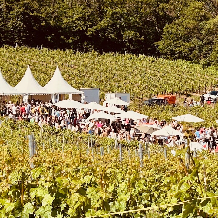 Birkweiler Weinfrühling.jpg | © Maison Südpfalz