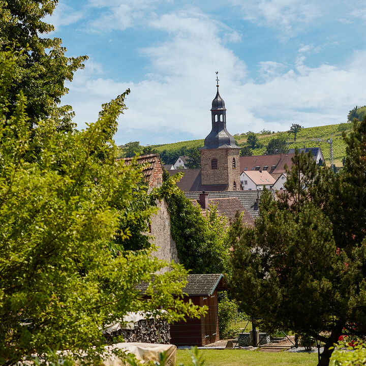Ausblick Süd.jpg | © Maison Südpfalz